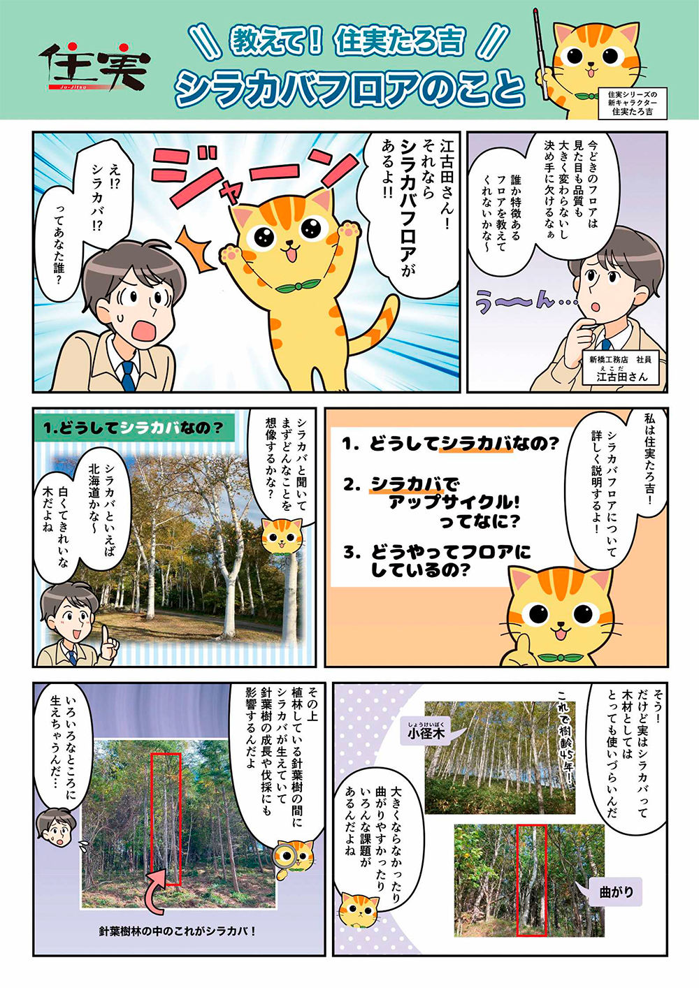 マンガシラカバフロア編を読む